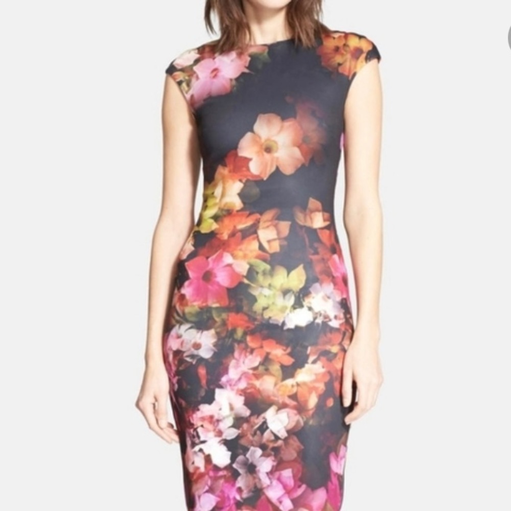 Ted Baker Gorgeous Black and Floral Dress Size 3 US Size 8
